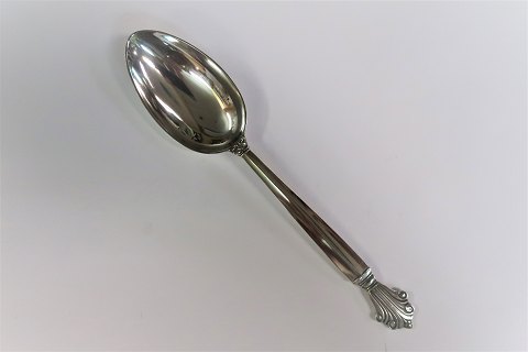 Georg Jensen
Acanthus
dinner spoon
Sterling (925)