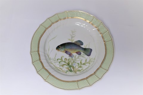 Royal Copenhagen. Fischplatte mit grünem Rand. Modell 919/1710. Tinca vulgaris