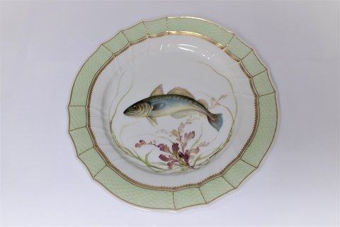 Royal Copenhagen. Fischplatte mit grünem Rand. Modell 919/1710. Gadus merlangus