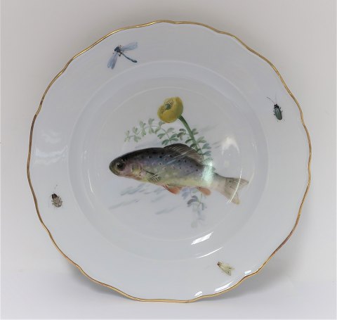 Meissen. Porcelain. Fish plate. Diameter 25 cm