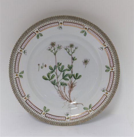 Royal Copenhagen Flora Danica. Dinner plate. Design 624 (3549). Diameter 25 cm. 
(1 quality). Potentilla retusa Horn
