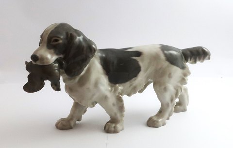 Bing & Grondahl. Cocker Spaniel with bird in mouth. Model 2061. Length 24 cm. (2 
quality)