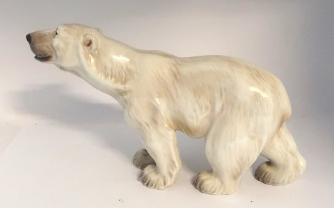 Dahl Jensen. Porcelain figurine. Standing Polar Bear. Model 1156. Length 33 cm. 
(1 quality)