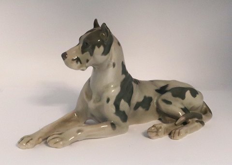 Bing & Gröndahl. Porcelain figure. Great Dane. Model 1773. Length 29 cm. (1 
quality)