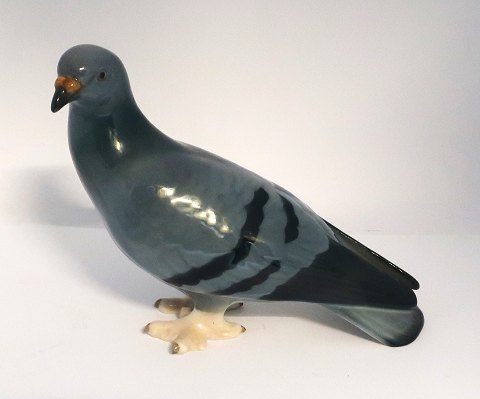 Bing & Grondahl. Porcelain figure. Pigeon. Model 1911. Length 22 cm. (2 quality)
