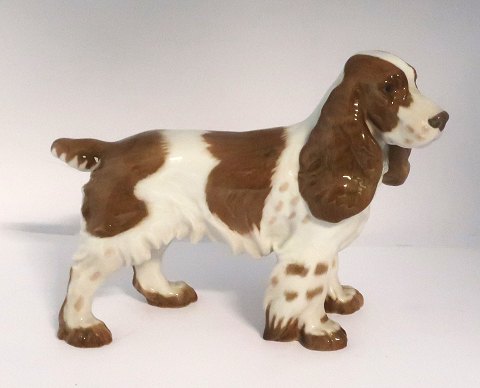 Bing & Gröndahl. Porcelain figure. Cocker Spaniel. Model 2095. Length 21.5 cm. 
(1 quality)