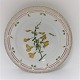 Royal Copenhagen, Flora Danica. Middags tallerken. Design #3549. Diameter 25 cm. 
(1 sortering). Spartium scoparium L