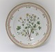 Royal Copenhagen Flora Danica. Dinner plate. Design # 3549. Diameter 25 cm. (1 
quality). Potentilla verna L