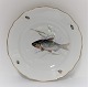 Meissen. Porcelain. Fish plate. Diameter 25 cm