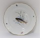 Meissen. Porcelain. Fish plate. Diameter 25 cm