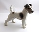 Bing & Gröndahl. Porzellanfigur. Rauhaariger Foxterrier. Modell 1998. Höhe 14 
cm. (2. Wahl)