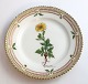 Royal Copenhagen, Flora Danica. Cake plate. Design # 3552. Diameter 14 cm. (1 
quality). Potentilla vahliana Lehm