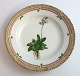 Royal Copenhagen, Flora Danica. Cake plate. Design # 3551. Diameter 17 cm. (1 
quality). Saxifraga stellaris L
