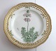 Royal Copenhagen. Flora Danica plate w. open-work border. Diameter 25 cm. Model 
3553. (1 quality). Hottonia palustris L