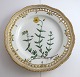 Royal Copenhagen. Flora Danica plate w. open-work border. Diameter 25 cm. Model 
3553. (1 quality). Helianthemum vulgare L