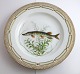 Royal Copenhagen. Fauna Danica. Fish Plate. Dinner plate. Model # 19 - 3549. 
Diameter 25 cm. (1 quality). Esox lucius