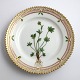 Royal Copenhagen, Flora Danica. Cake plate. Design # 3552. Diameter 14,5 cm. (1 
quality). Ranunculus pygmaeus